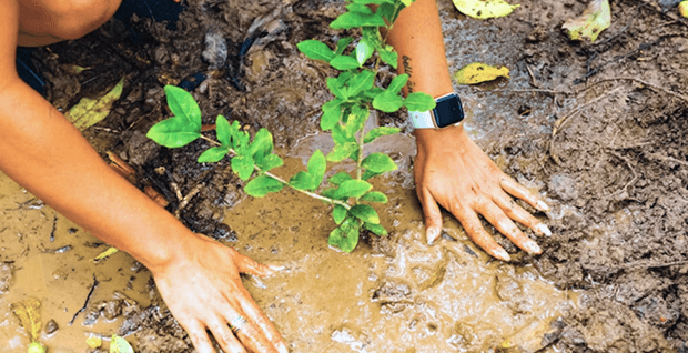 We boost education, environmental
health, and local livelihoods.