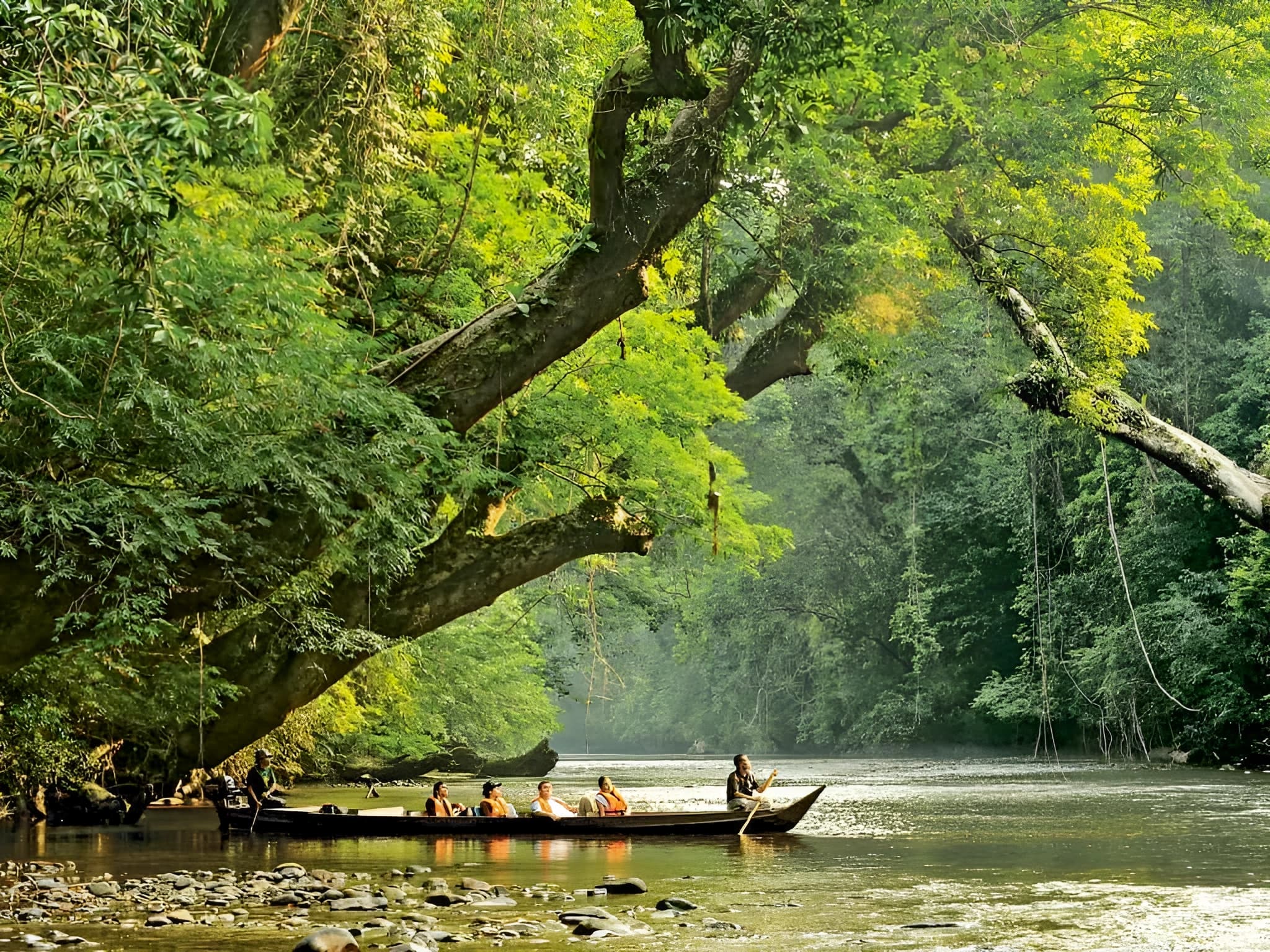 TAMAN NEGARA